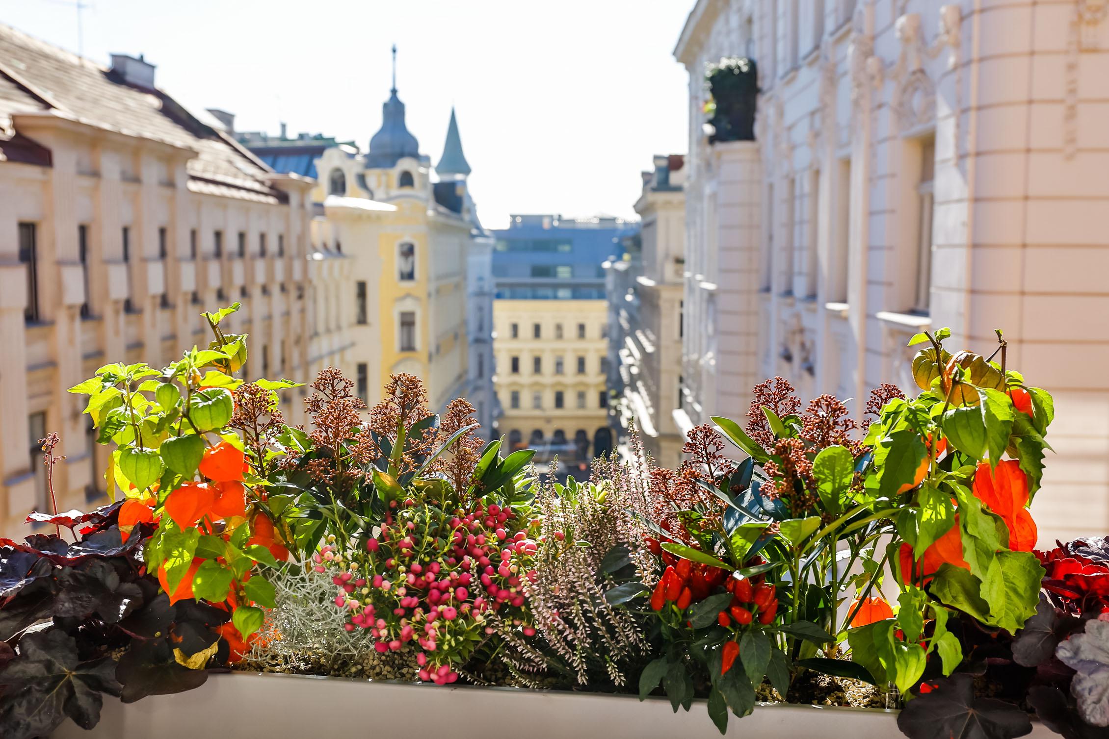 Boutiquehotel Das Tyrol Вена Экстерьер фото